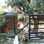 Vakantiehuis Ampelos Estate
