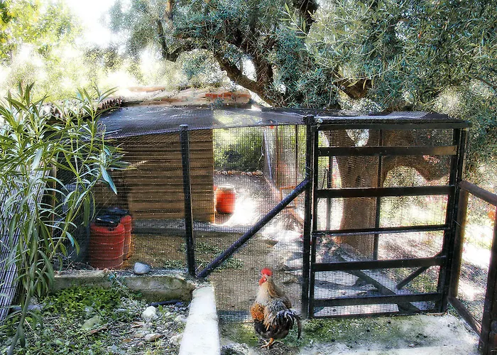 Дом отдыха Ampelos Estate